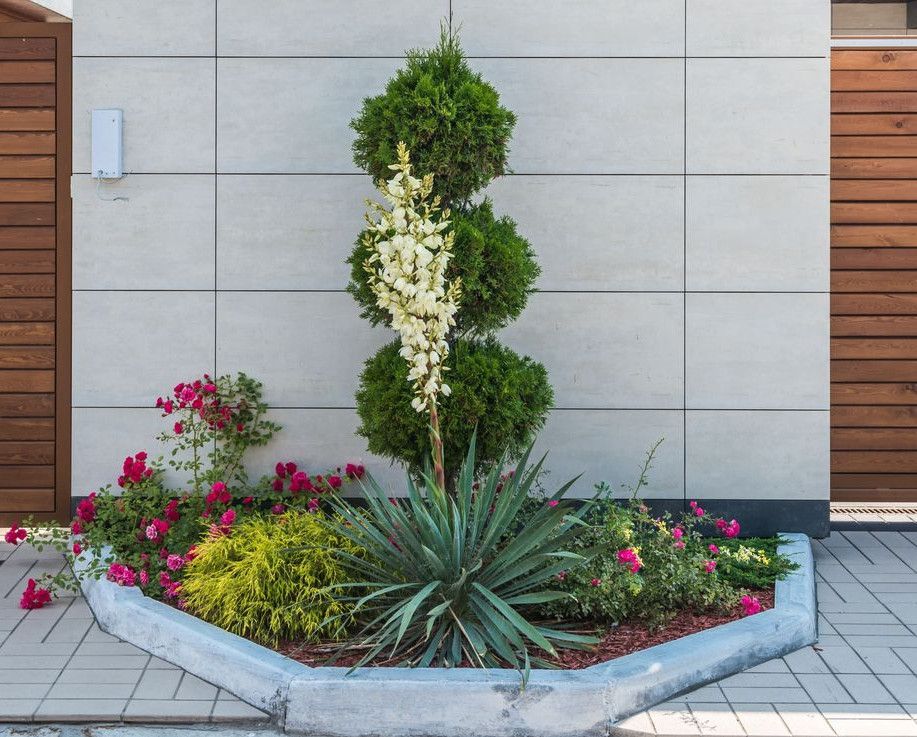 Contemporary house exterior featuring a stylish wooden facade, entrance gate, and vibrant garden.